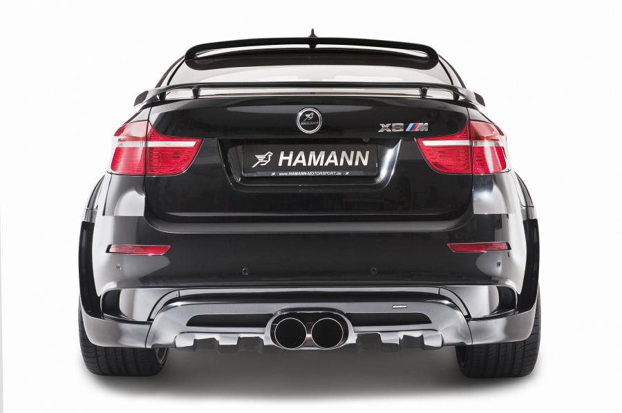 BMW X6 M Tycoon Evo M by Hamann 2010 года  (фото 14 из 20)